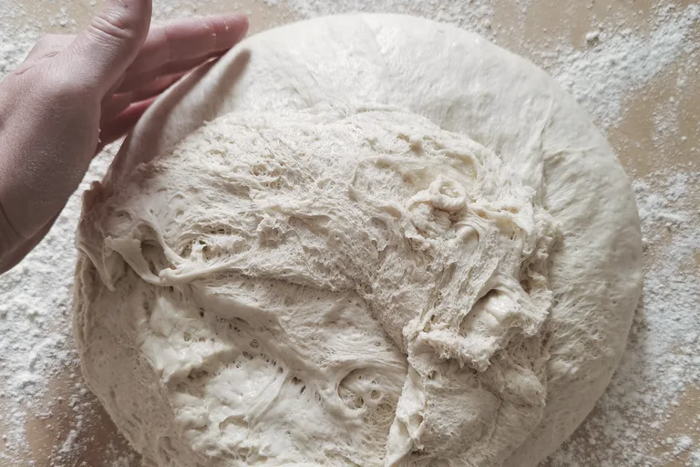 Aerated pizza dough after bulk fermentation, showing an elastic web of bubbles